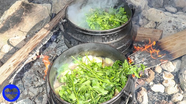 סדנת בישול בטבע לחברי מועדון דאצ'יה - תמונת גלריה 13