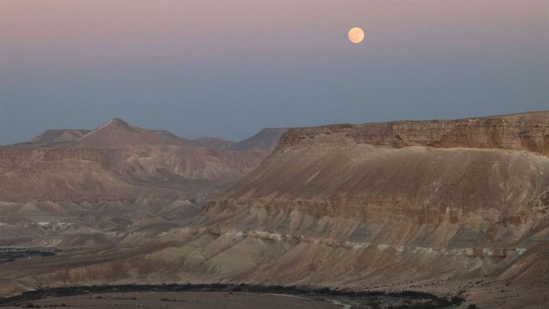 טיול בשדה בוקר ונחל חווארים תמונת גלריה 18